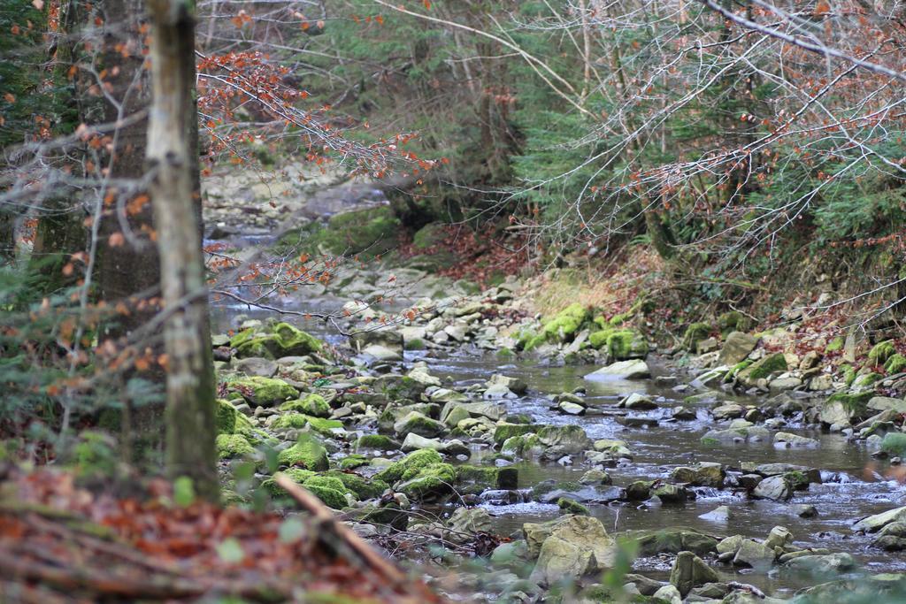 Hotel Naturidyll Hammerschmiede Anthering